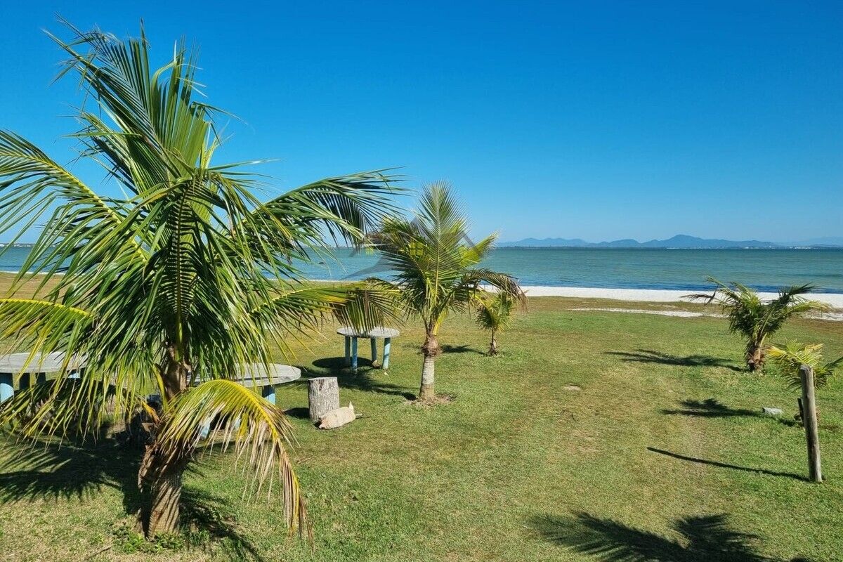 Caiçara / Figueira